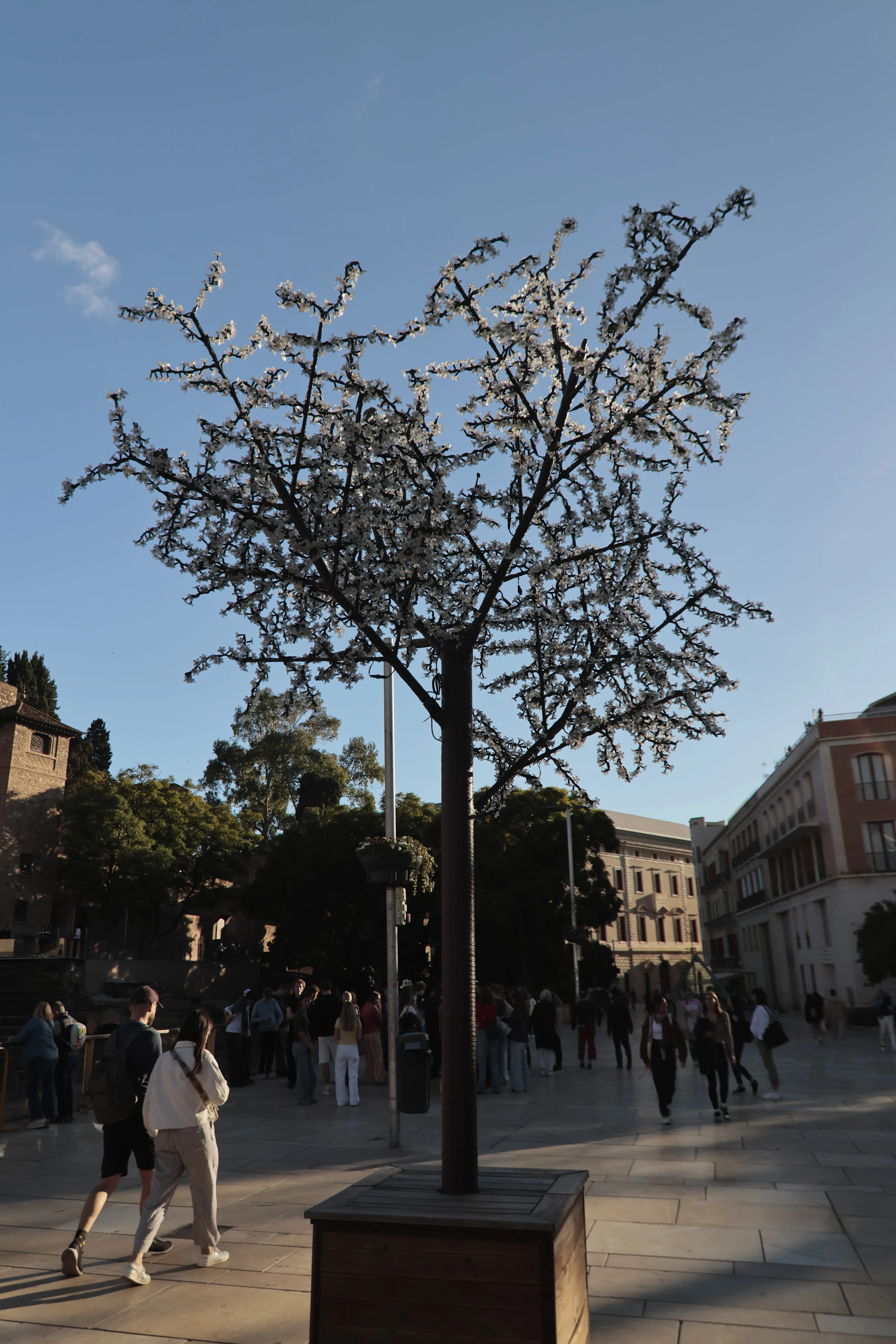 Tokina at-x 116 (EF) - _I4A1235.jpg